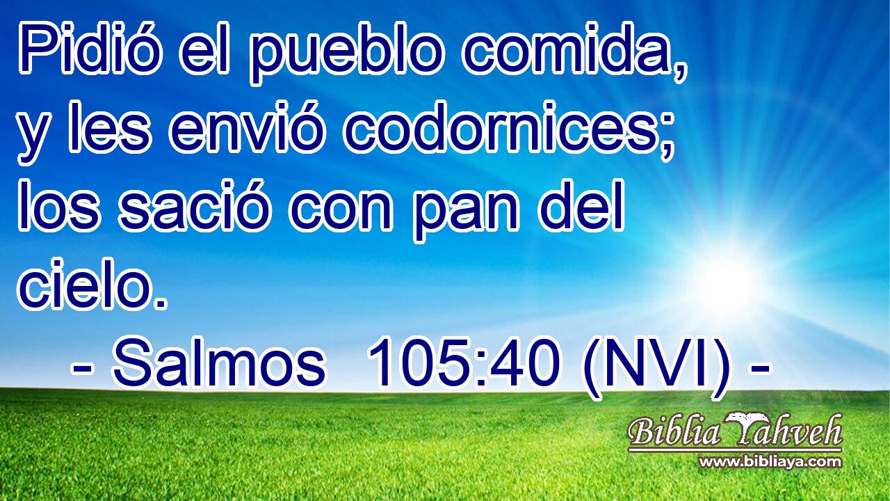  Pidió el pueblo comida, y les envió codornices; los sació con pan del cielo. 