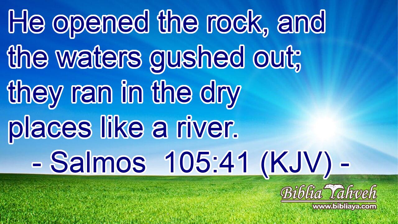 He opened the rock, and the waters gushed out; they ran in the dry places like a river.