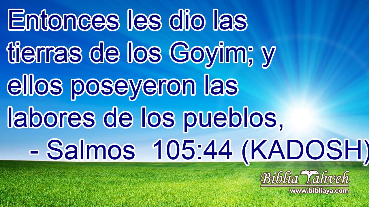  Entonces les dio las tierras de los Goyim; y ellos poseyeron las labores de los pueblos, 