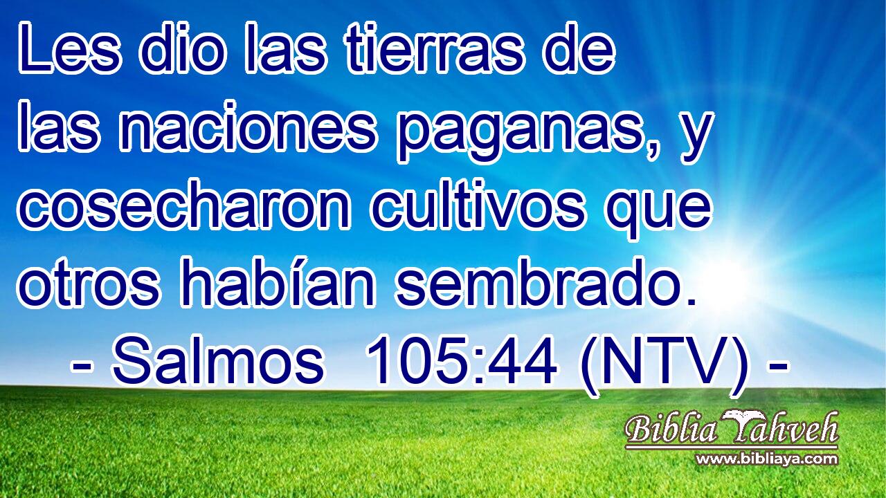 Les dio las tierras de las naciones paganas, y cosecharon cultivos que otros habían sembrado.