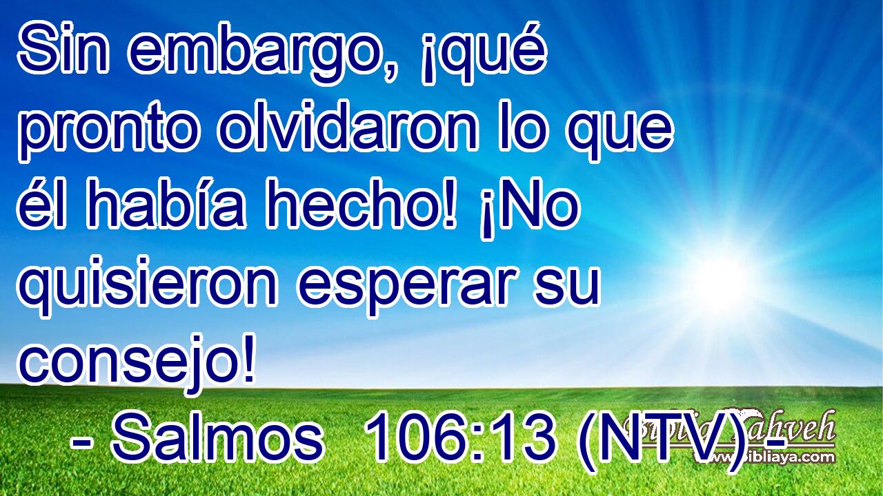 Sin embargo, ¡qué pronto olvidaron lo que él había hecho! ¡No quisieron esperar su consejo!