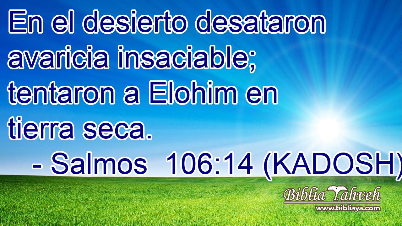  En el desierto desataron avaricia insaciable; tentaron a Elohim en tierra seca. 