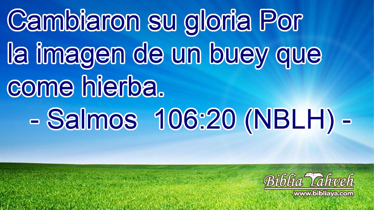  Cambiaron su gloria Por la imagen de un buey que come hierba. 