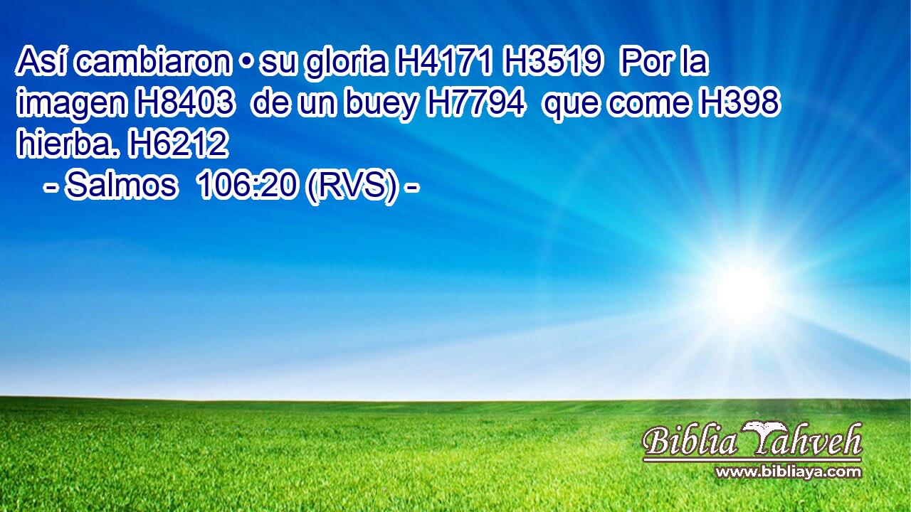 Así cambiaron • su gloria H4171 H3519  Por la imagen H8403  de un buey H7794  que come H398  hierba. H6212  