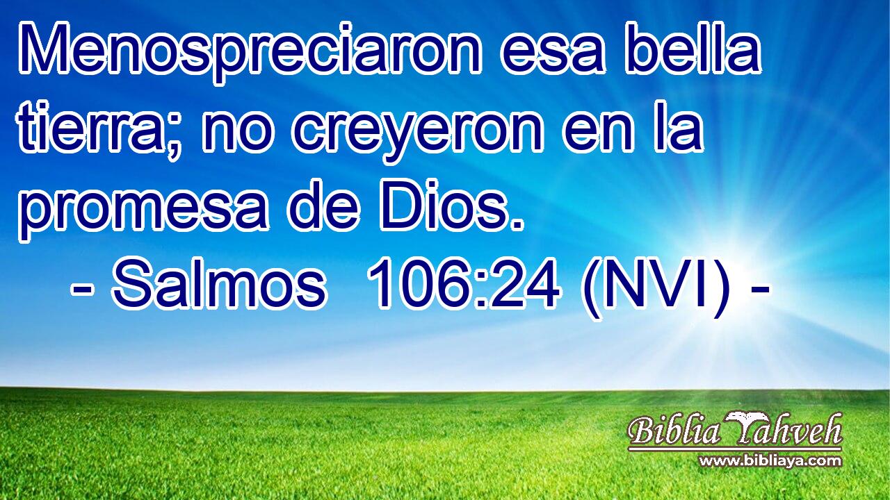  Menospreciaron esa bella tierra; no creyeron en la promesa de Dios. 