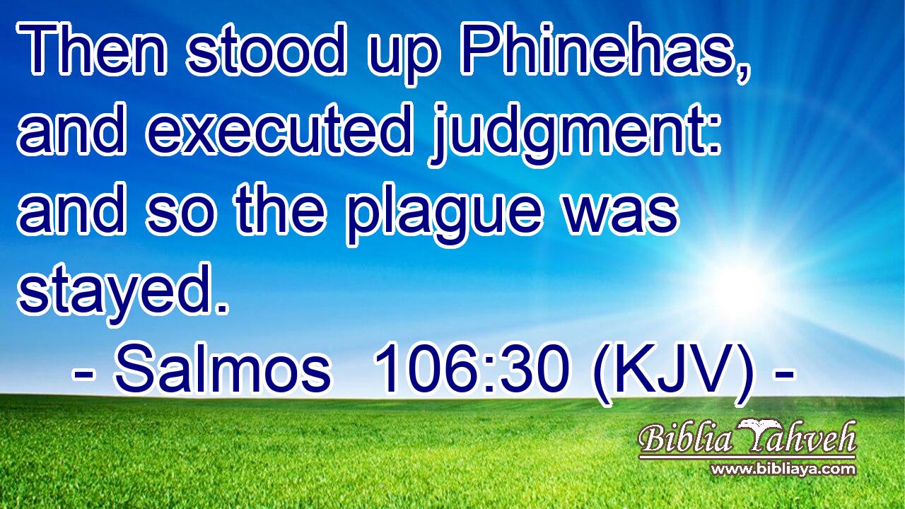 Then stood up Phinehas, and executed judgment: and so the plague was stayed.