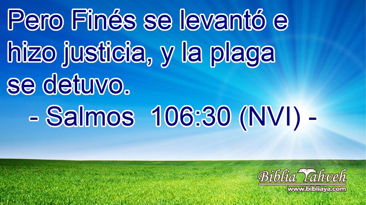  Pero Finés se levantó e hizo justicia, y la plaga se detuvo. 