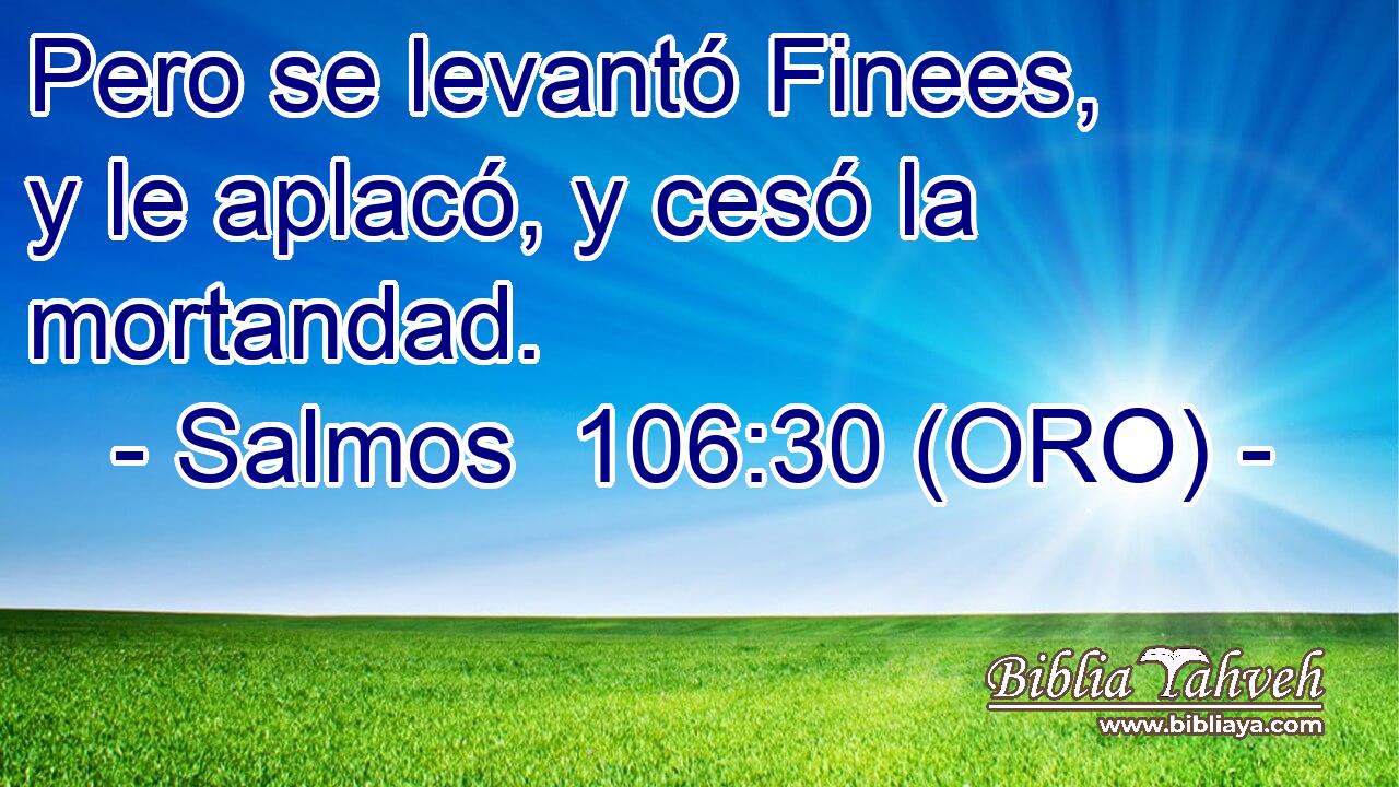  Pero se levantó Finees, y le aplacó, y cesó la mortandad. 