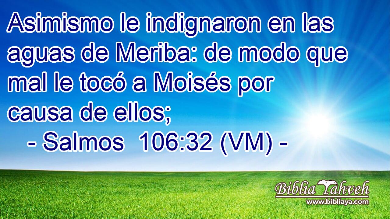  Asimismo le indignaron en las aguas de Meriba: de modo que mal le tocó a Moisés por causa de ellos; 