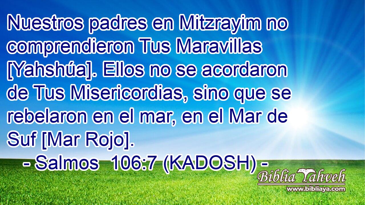  Nuestros padres en Mitzrayim no comprendieron Tus Maravillas [Yahshúa]. Ellos no se acordaron de Tus Misericordias, sino que se rebelaron en el mar, en el Mar de Suf [Mar Rojo]. 