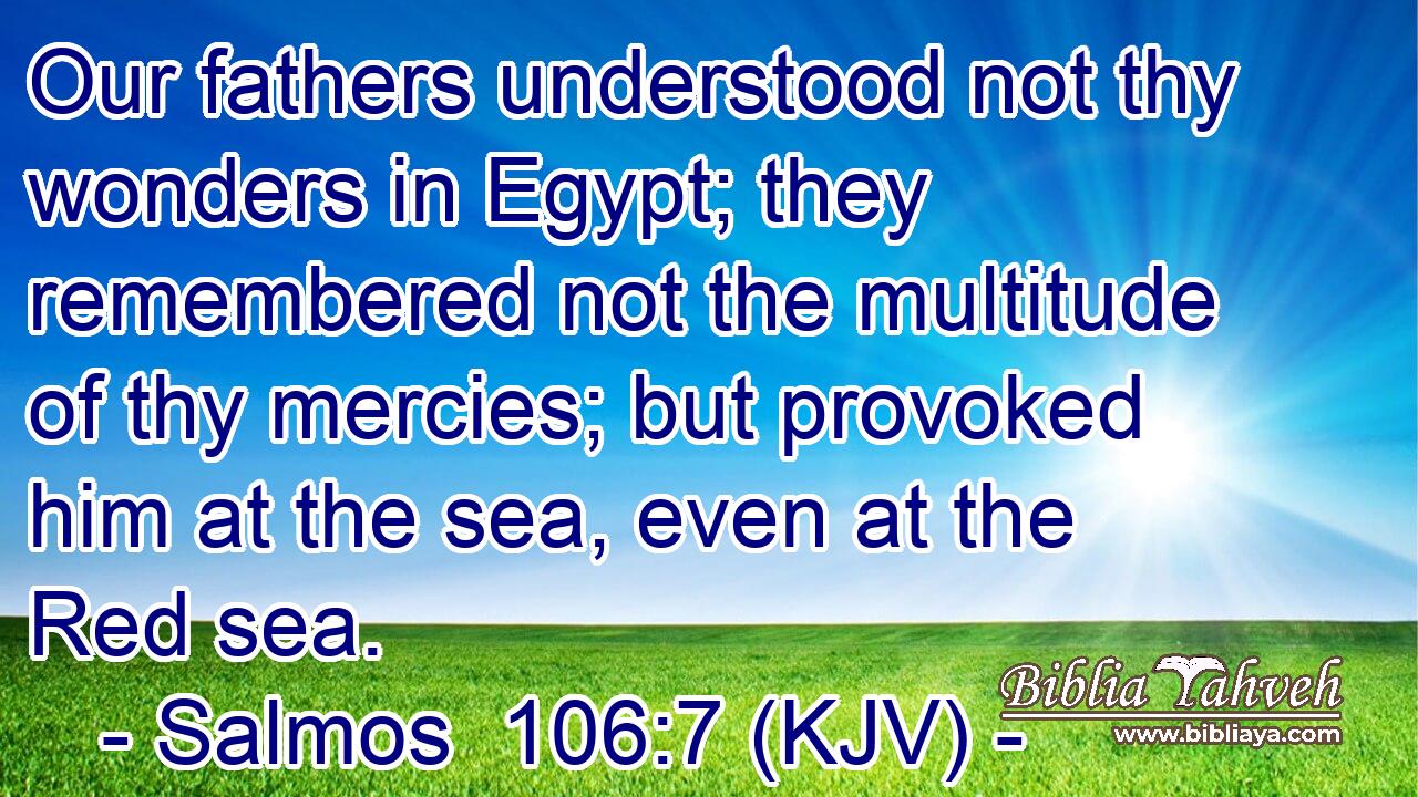 Our fathers understood not thy wonders in Egypt; they remembered not the multitude of thy mercies; but provoked him at the sea, even at the Red sea.