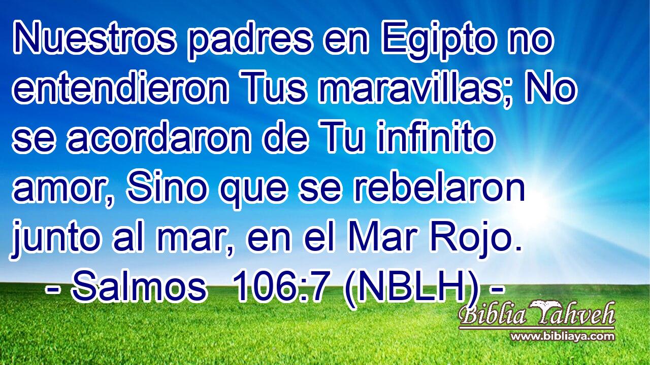 Nuestros padres en Egipto no entendieron Tus maravillas; No se acordaron de Tu infinito amor, Sino que se rebelaron junto al mar, en el Mar Rojo. 