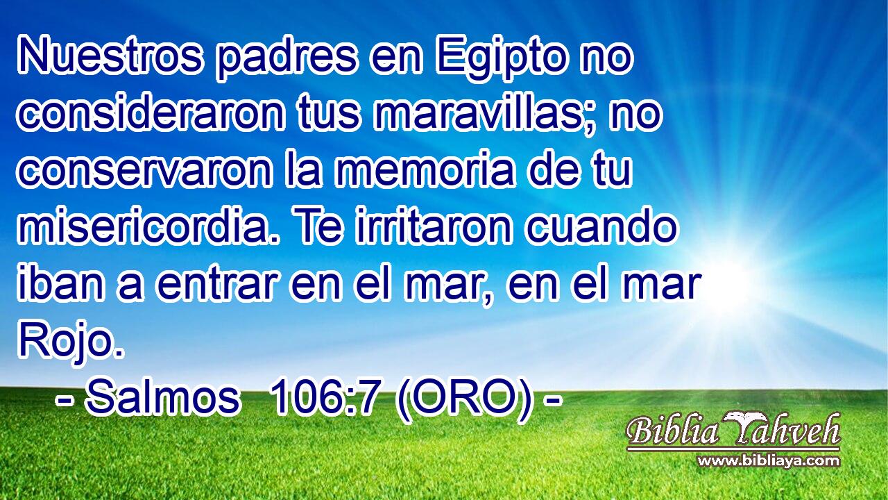  Nuestros padres en Egipto no consideraron tus maravillas; no conservaron la memoria de tu misericordia. Te irritaron cuando iban a entrar en el mar, en el mar Rojo. 