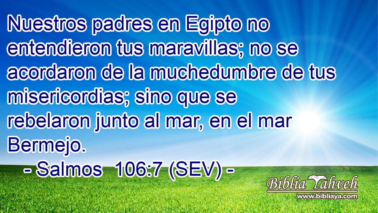 Nuestros padres en Egipto no entendieron tus maravillas; no se acordaron de la muchedumbre de tus misericordias; sino que se rebelaron junto al mar, en el mar Bermejo.