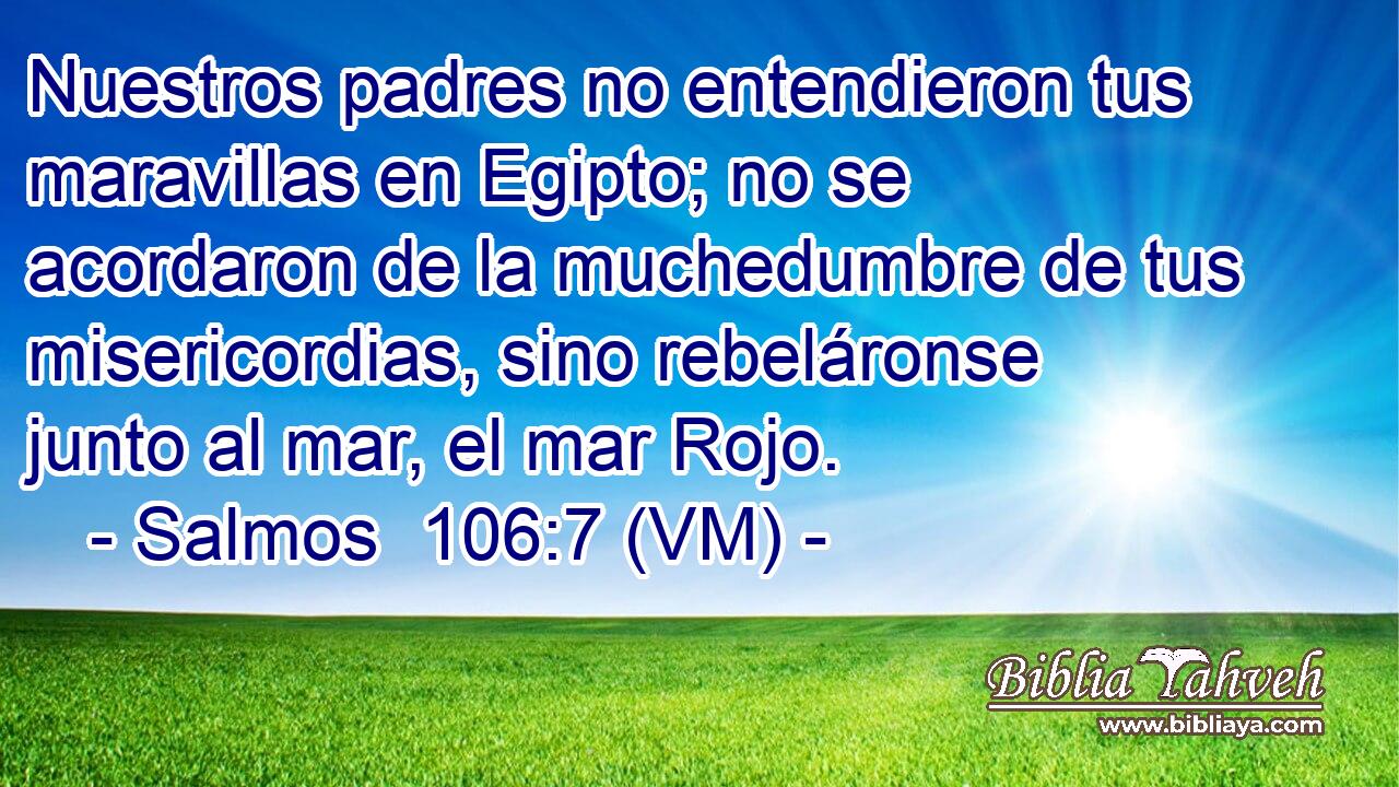  Nuestros padres no entendieron tus maravillas en Egipto; no se acordaron de la muchedumbre de tus misericordias, sino rebeláronse junto al mar, el mar Rojo. 