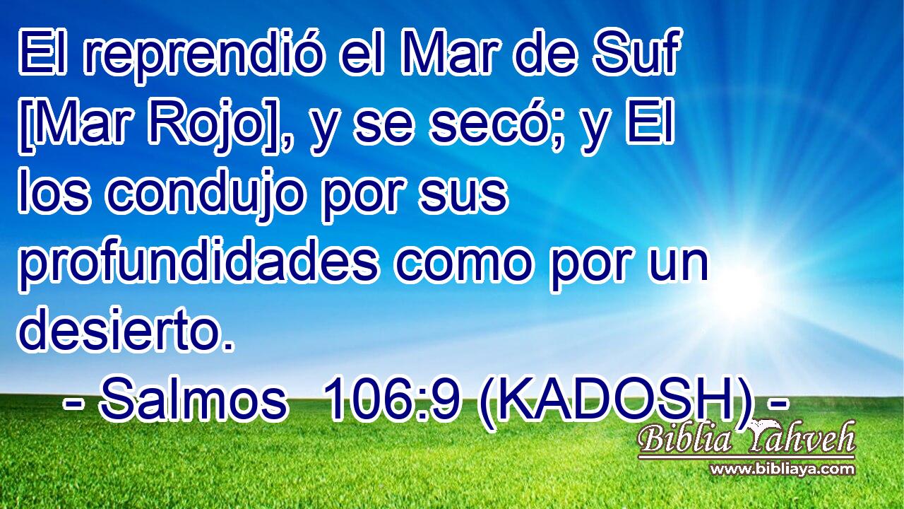  El reprendió el Mar de Suf [Mar Rojo], y se secó; y El los condujo por sus profundidades como por un desierto. 