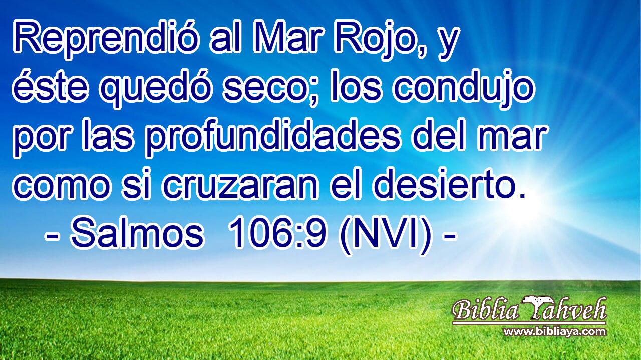  Reprendió al Mar Rojo, y éste quedó seco; los condujo por las profundidades del mar como si cruzaran el desierto. 