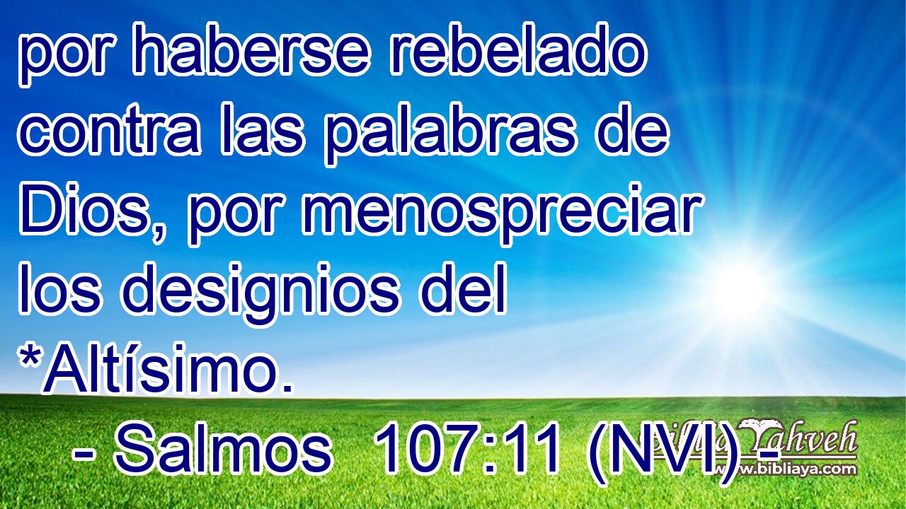  por haberse rebelado contra las palabras de Dios, por menospreciar los designios del *Altísimo. 