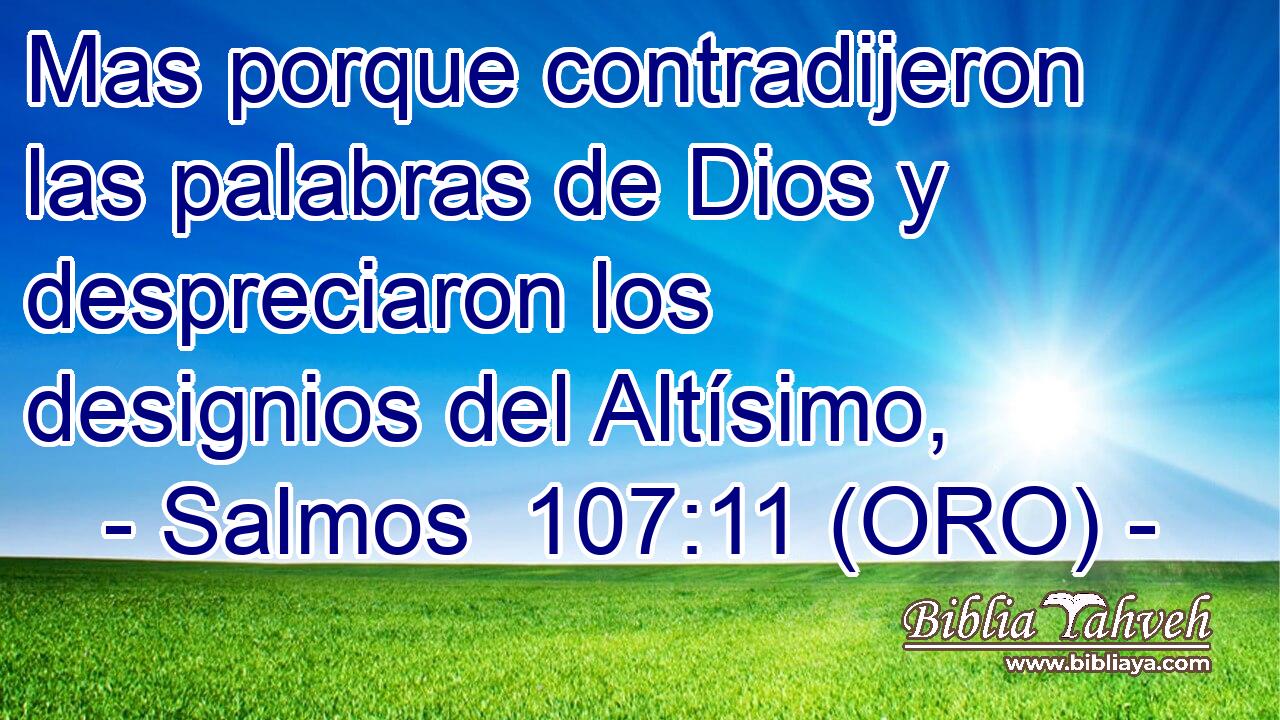  Mas porque contradijeron las palabras de Dios y despreciaron los designios del Altísimo, 