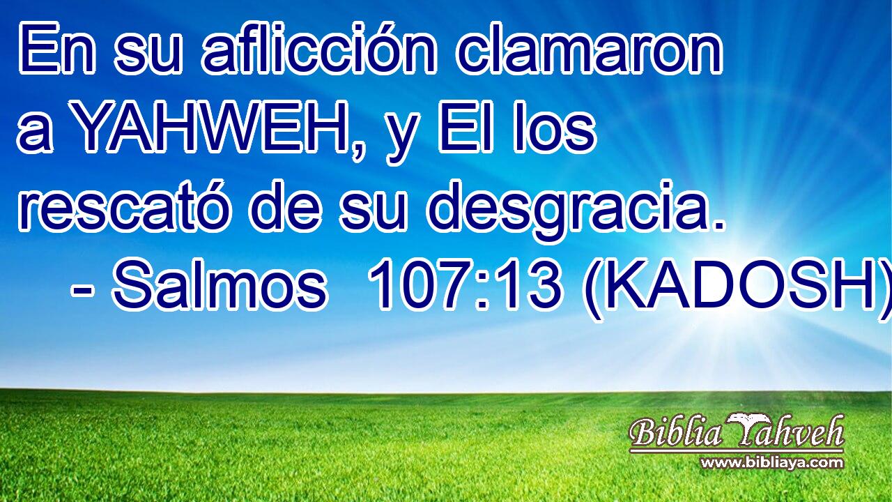  En su aflicción clamaron a YAHWEH, y El los rescató de su desgracia. 