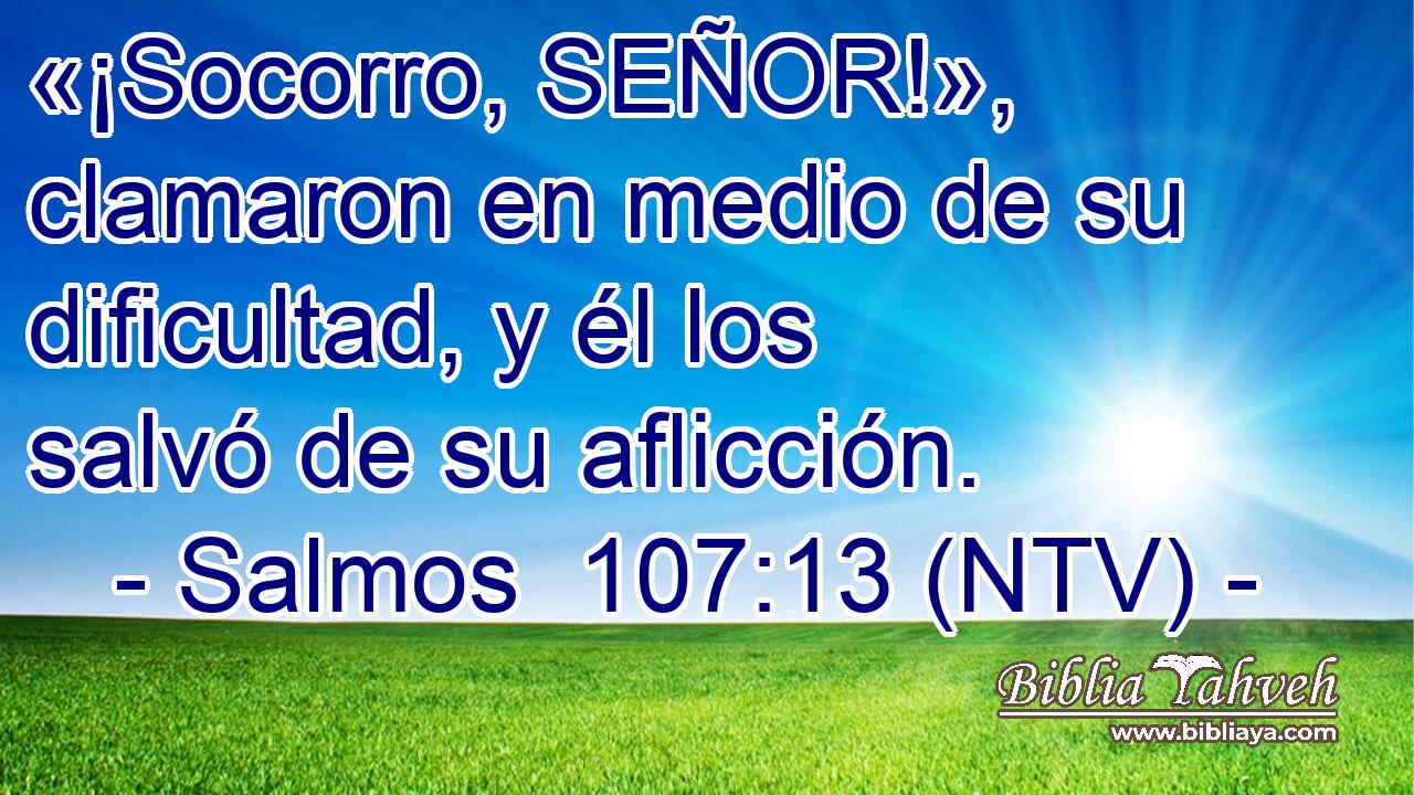 «¡Socorro, SEÑOR!», clamaron en medio de su dificultad, y él los salvó de su aflicción.