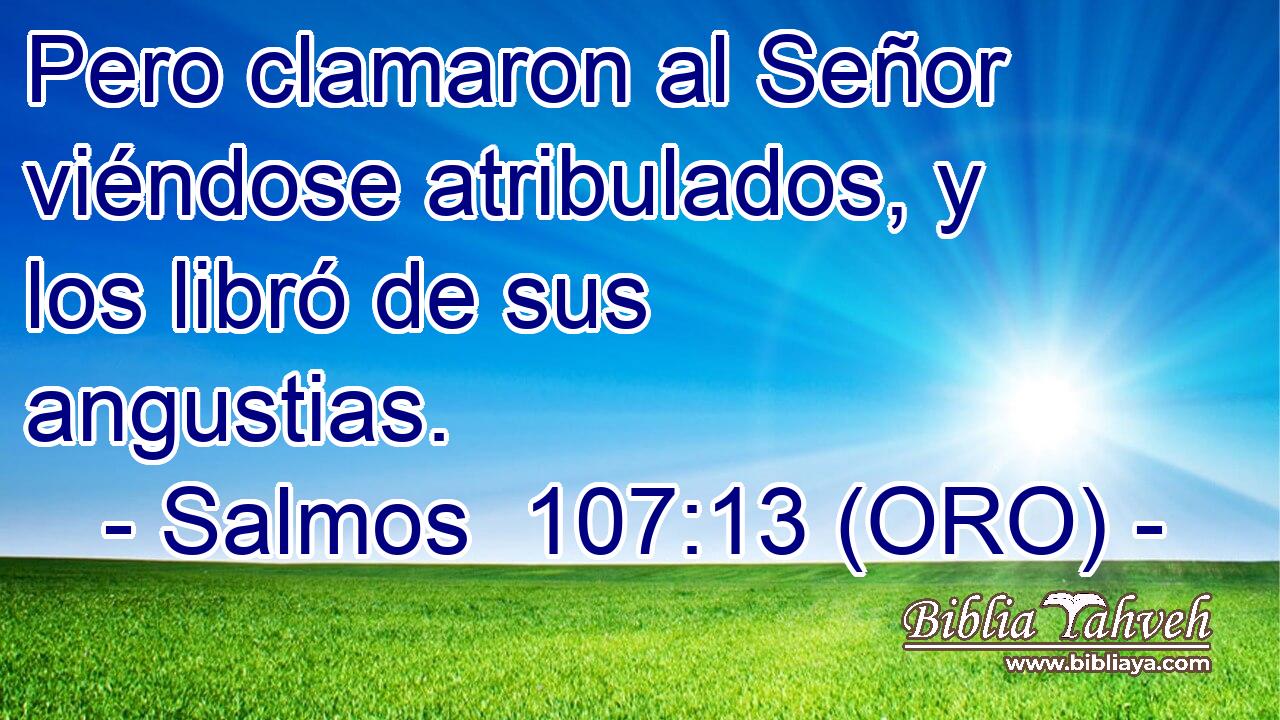  Pero clamaron al Señor viéndose atribulados, y los libró de sus angustias. 