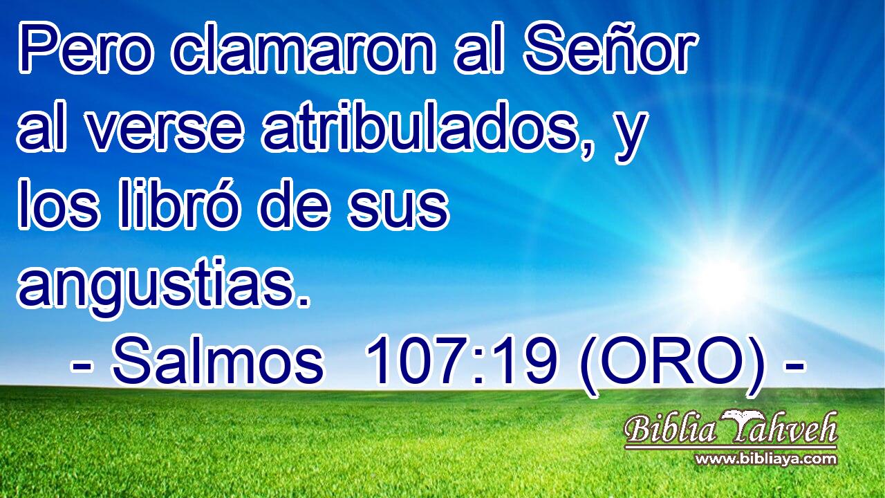  Pero clamaron al Señor al verse atribulados, y los libró de sus angustias. 