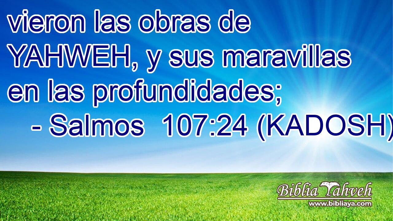  vieron las obras de YAHWEH, y sus maravillas en las profundidades; 