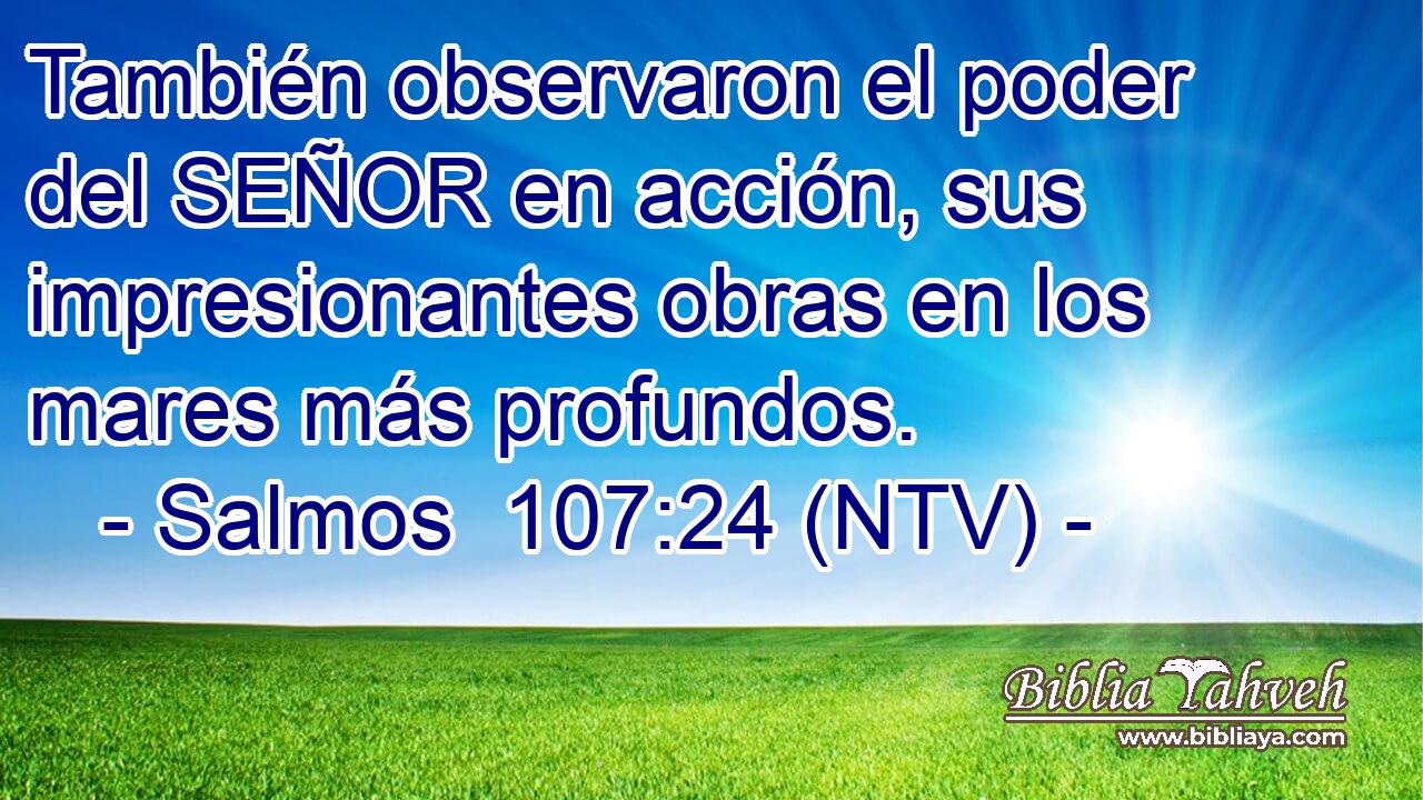También observaron el poder del SEÑOR en acción, sus impresionantes obras en los mares más profundos.