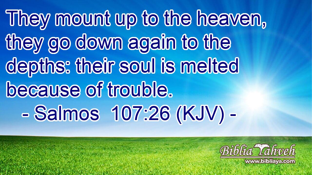 They mount up to the heaven, they go down again to the depths: their soul is melted because of trouble.