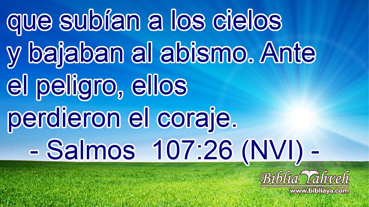  que subían a los cielos y bajaban al abismo. Ante el peligro, ellos perdieron el coraje. 
