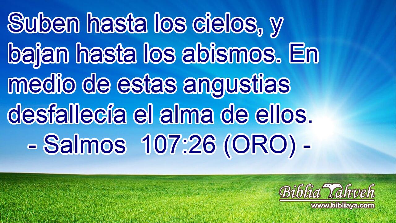  Suben hasta los cielos, y bajan hasta los abismos. En medio de estas angustias desfallecía el alma de ellos. 