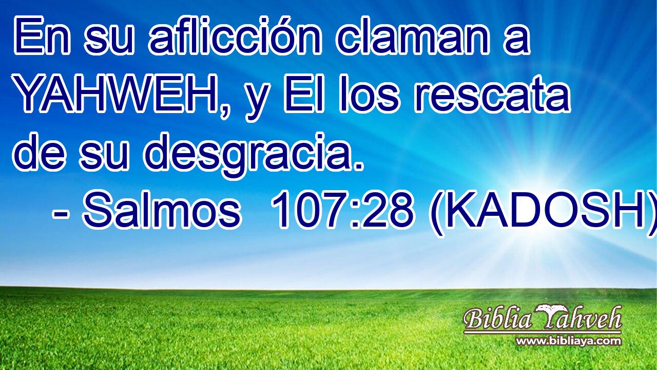  En su aflicción claman a YAHWEH, y El los rescata de su desgracia. 