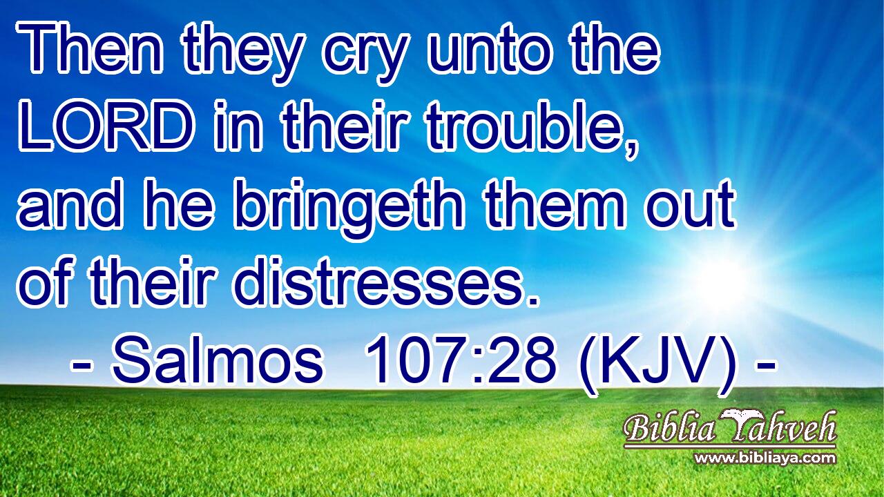Then they cry unto the LORD in their trouble, and he bringeth them out of their distresses.