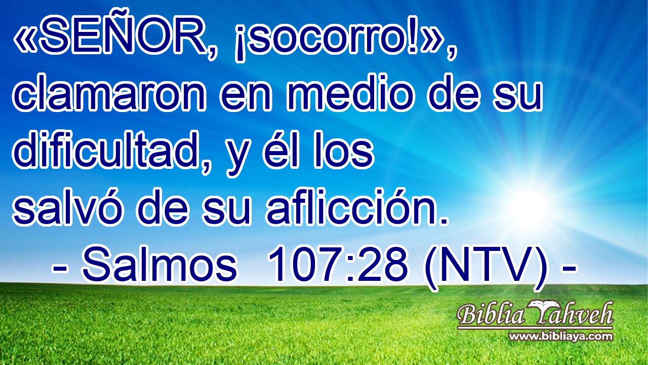 «SEÑOR, ¡socorro!», clamaron en medio de su dificultad, y él los salvó de su aflicción.