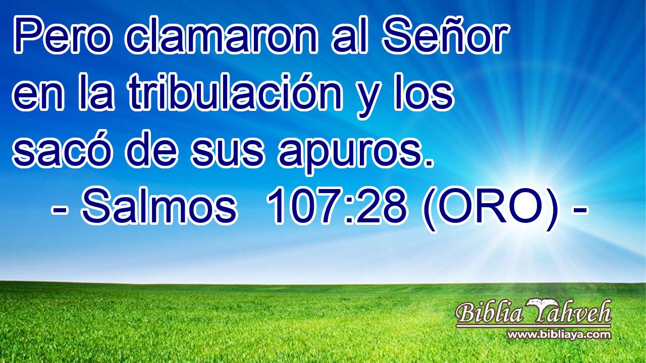  Pero clamaron al Señor en la tribulación y los sacó de sus apuros. 