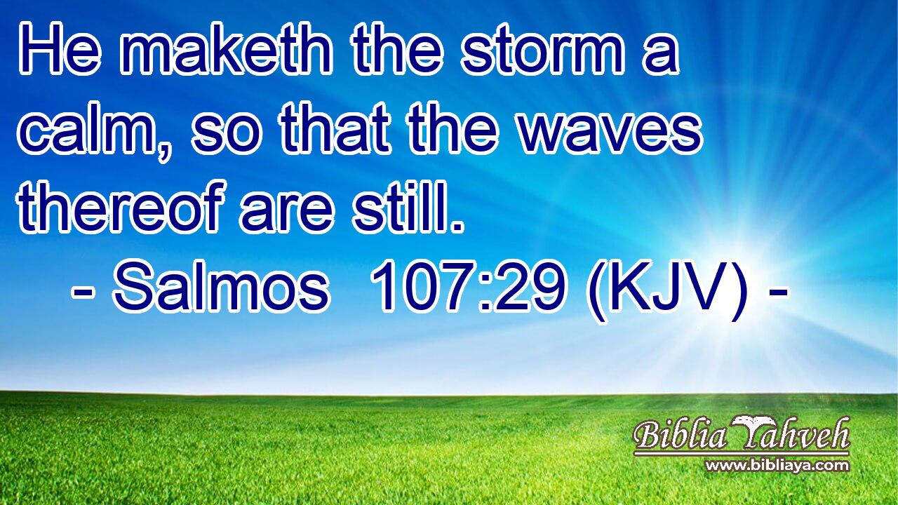 He maketh the storm a calm, so that the waves thereof are still.