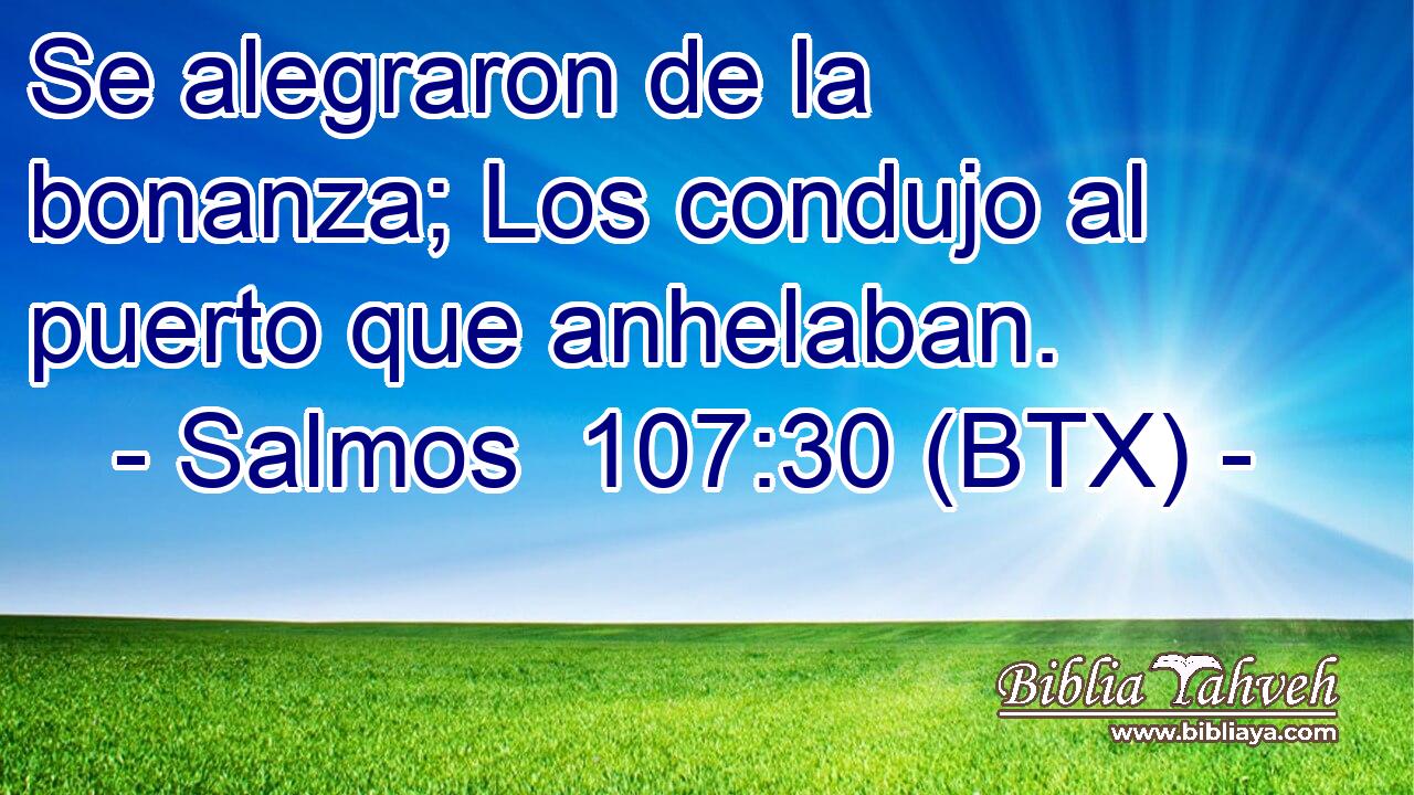 Se alegraron de la bonanza; Los condujo al puerto que anhelaban.