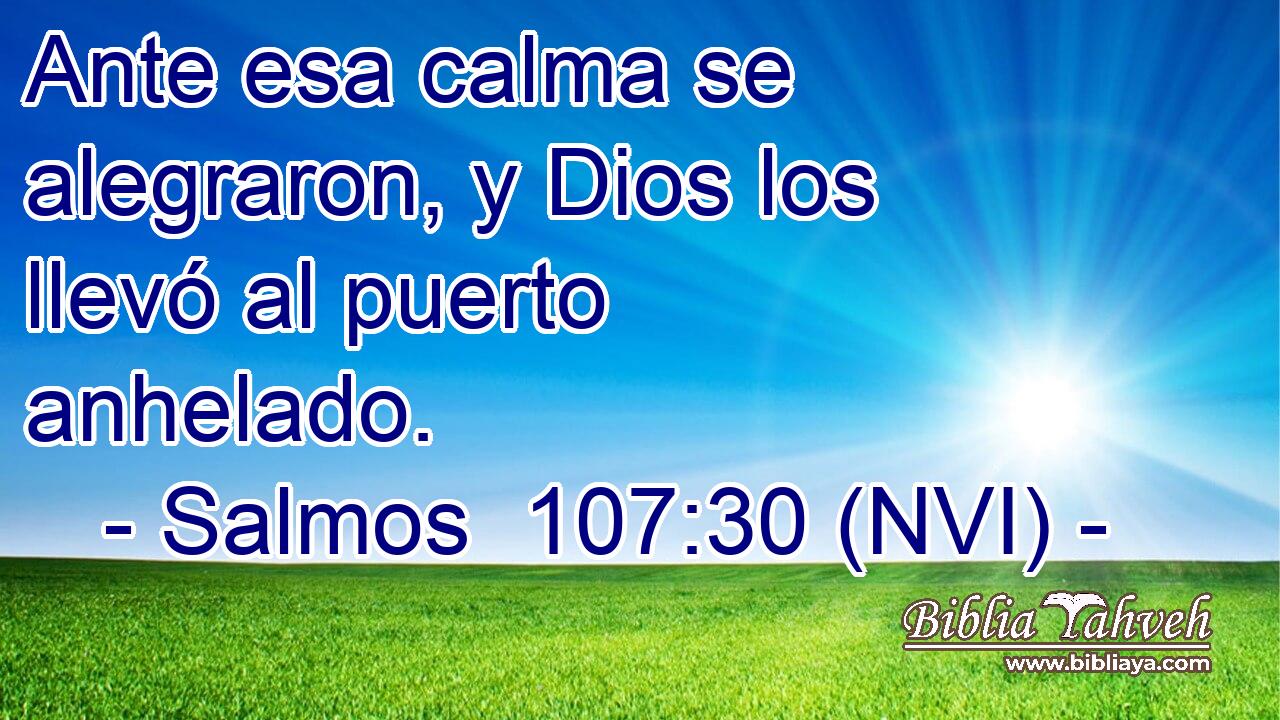  Ante esa calma se alegraron, y Dios los llevó al puerto anhelado. 