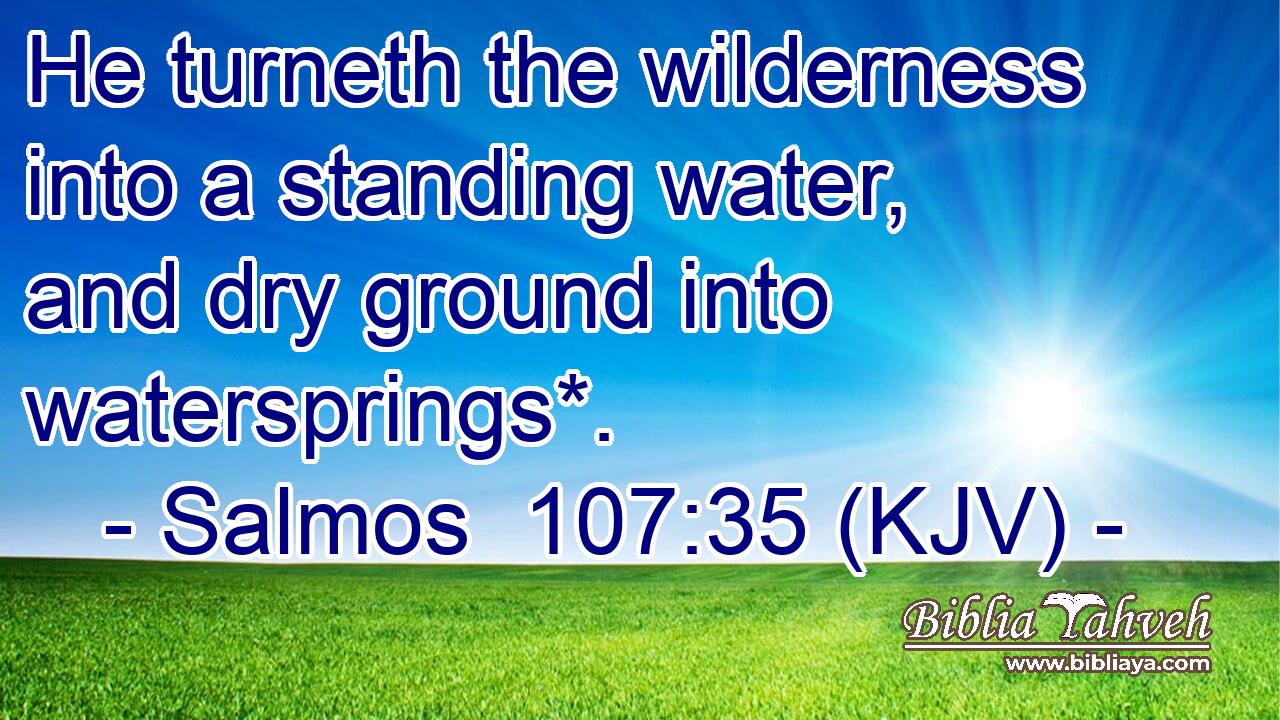 He turneth the wilderness into a standing water, and dry ground into watersprings*.