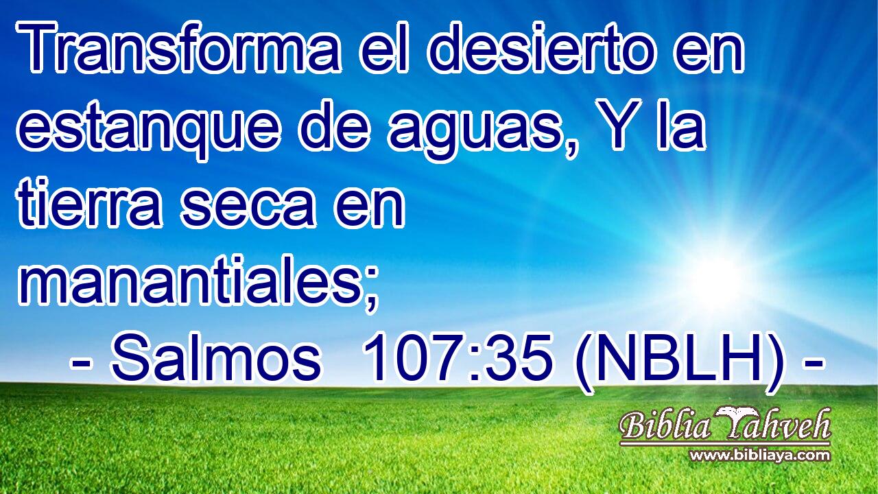 Transforma el desierto en estanque de aguas, Y la tierra seca en manantiales; 