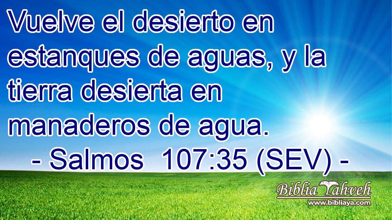 Vuelve el desierto en estanques de aguas, y la tierra desierta en manaderos de agua.