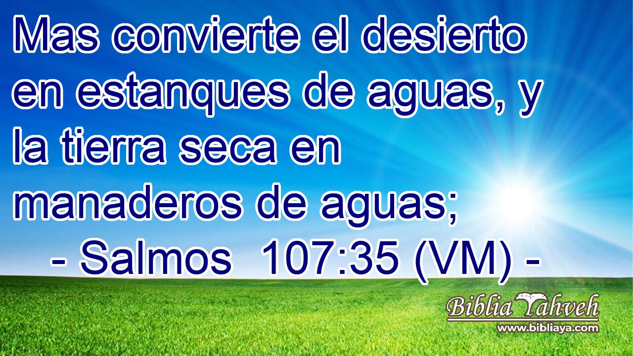  Mas convierte el desierto en estanques de aguas, y la tierra seca en manaderos de aguas; 