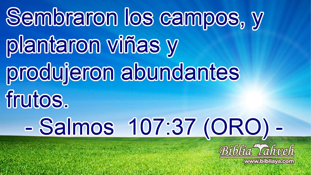  Sembraron los campos, y plantaron viñas y produjeron abundantes frutos. 