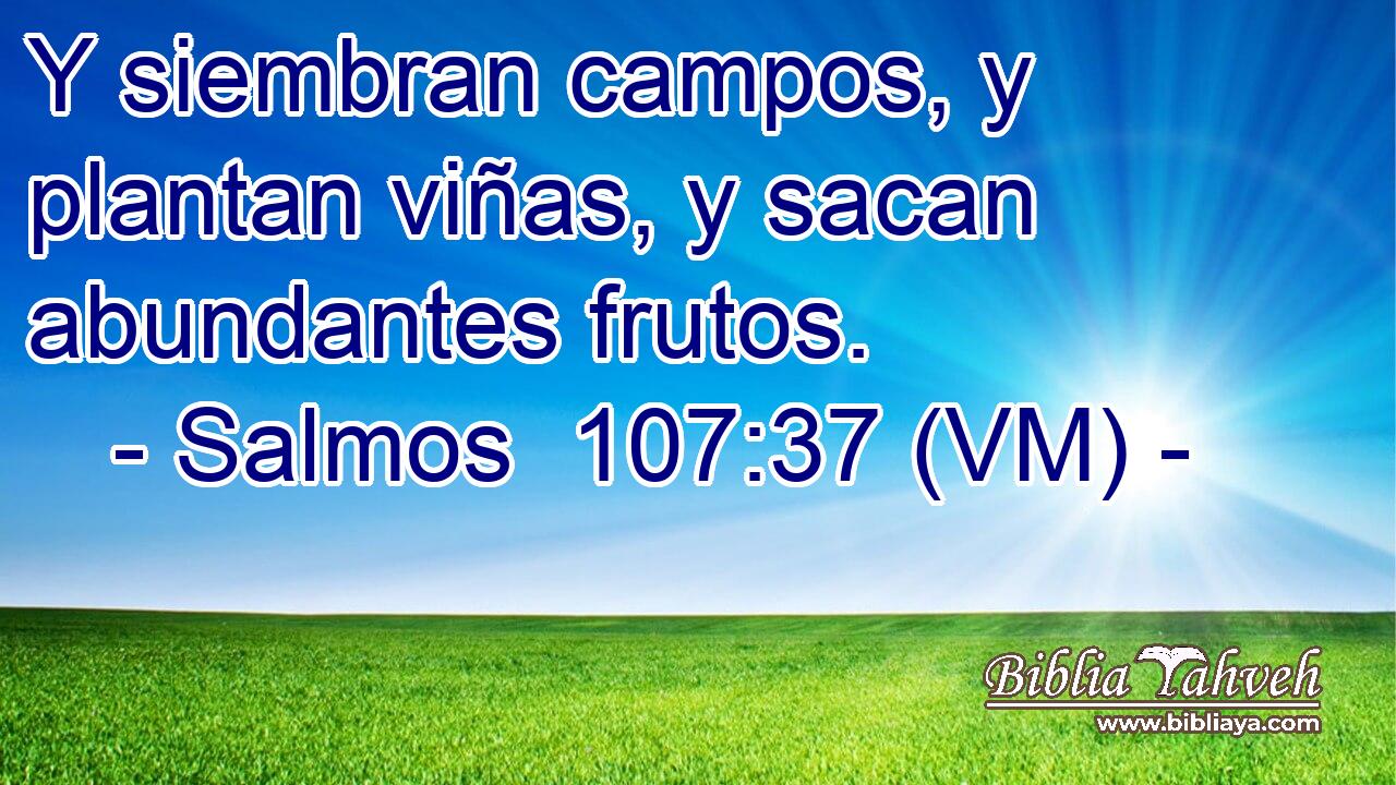  Y siembran campos, y plantan viñas, y sacan abundantes frutos. 