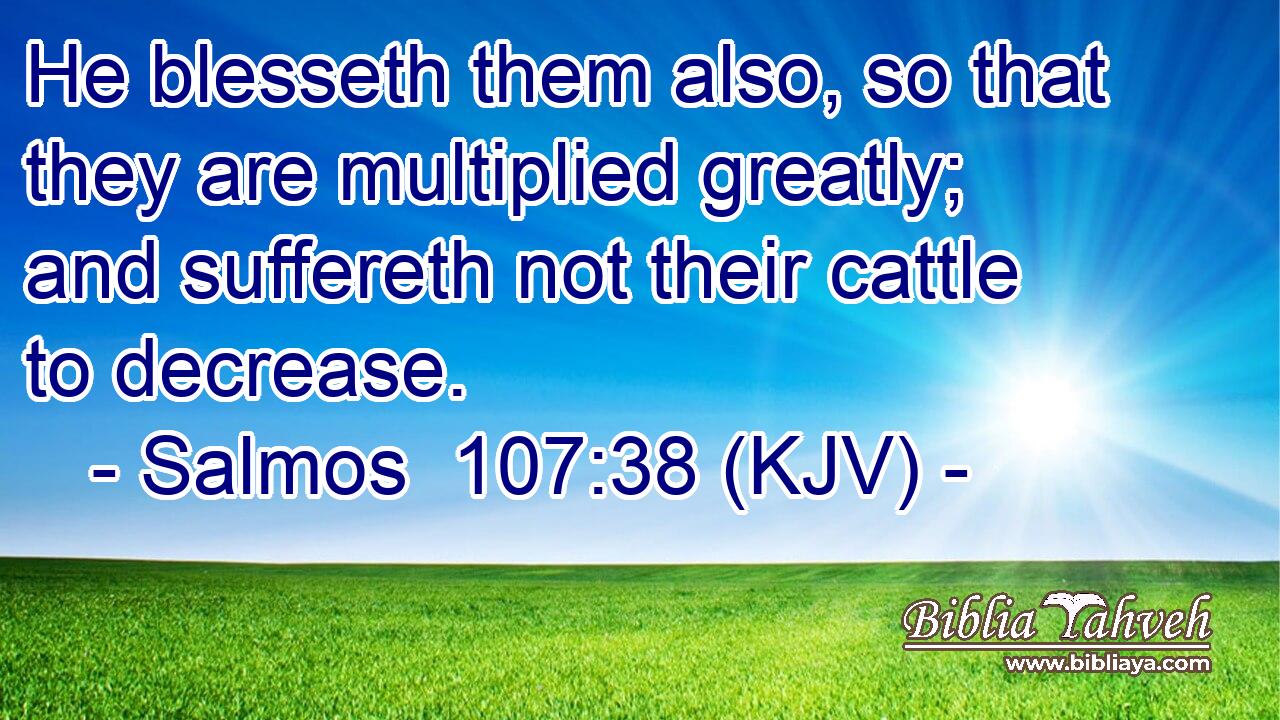 He blesseth them also, so that they are multiplied greatly; and suffereth not their cattle to decrease.