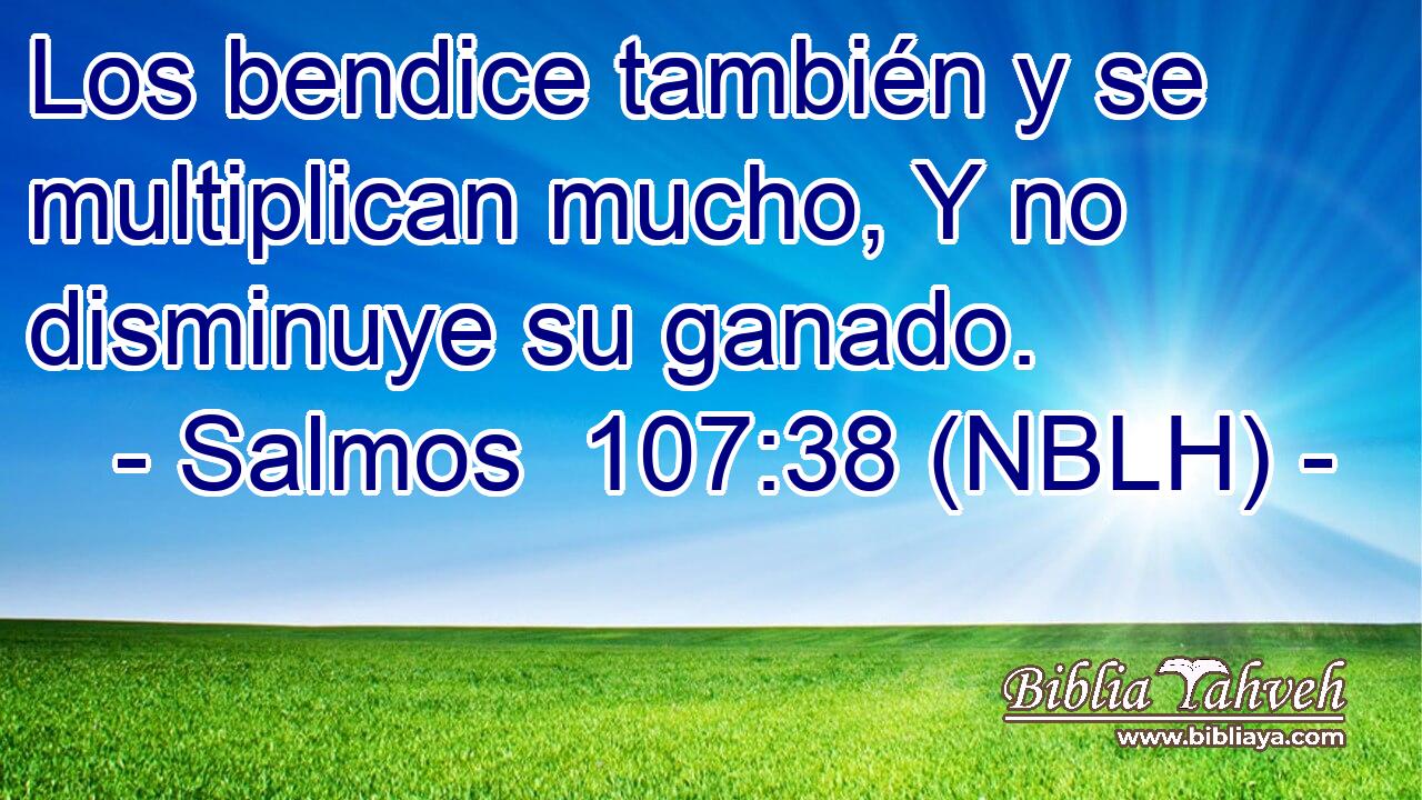  Los bendice también y se multiplican mucho, Y no disminuye su ganado. 