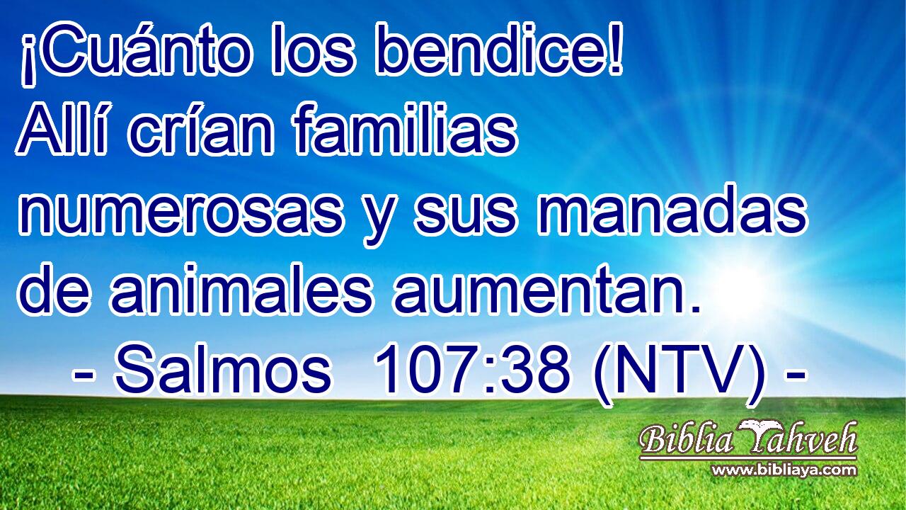 ¡Cuánto los bendice! Allí crían familias numerosas y sus manadas de animales aumentan.