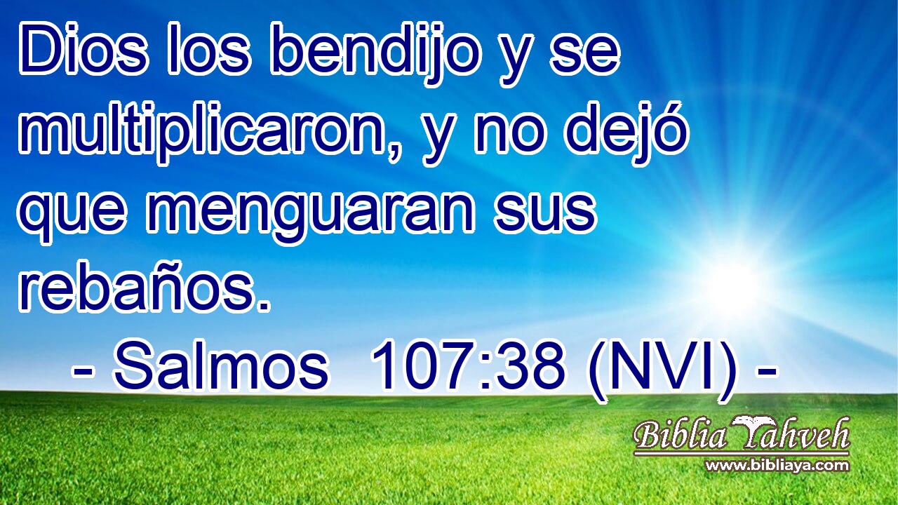  Dios los bendijo y se multiplicaron, y no dejó que menguaran sus rebaños. 