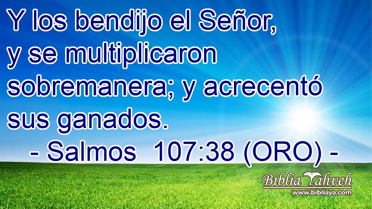  Y los bendijo el Señor, y se multiplicaron sobremanera; y acrecentó sus ganados. 